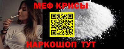 индика Новодвинск