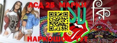 индика Новодвинск