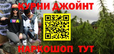 индика Новодвинск