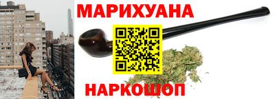 индика Новодвинск