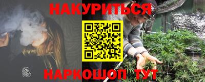 индика Новодвинск