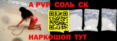 индика Новодвинск