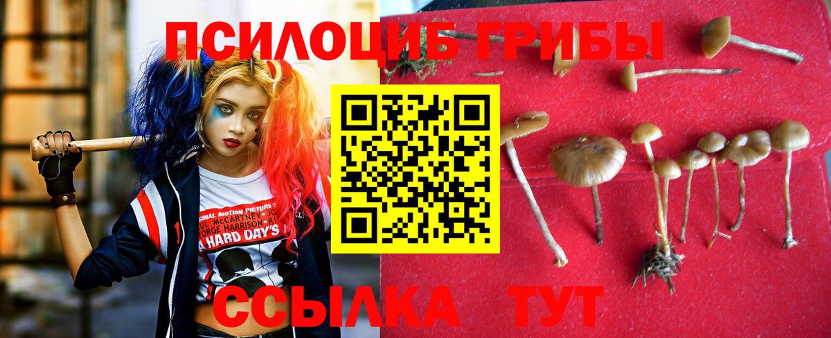 Псилоцибиновые грибы мицелий  Вход с VPN  Таганрог 
